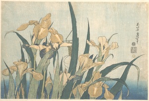 Iris y saltamontes · Hokusai