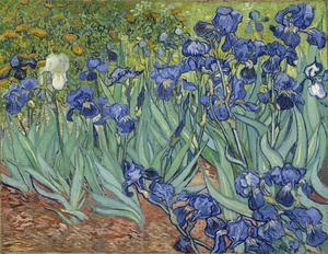 Lirios (Van Gogh Museum) · Van Gogh